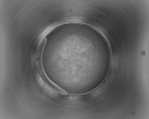 X0000113341389200909291020