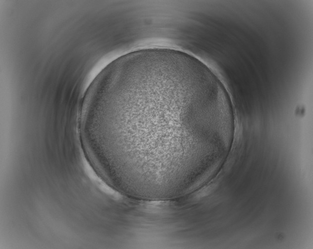 X0000113341390200909291020