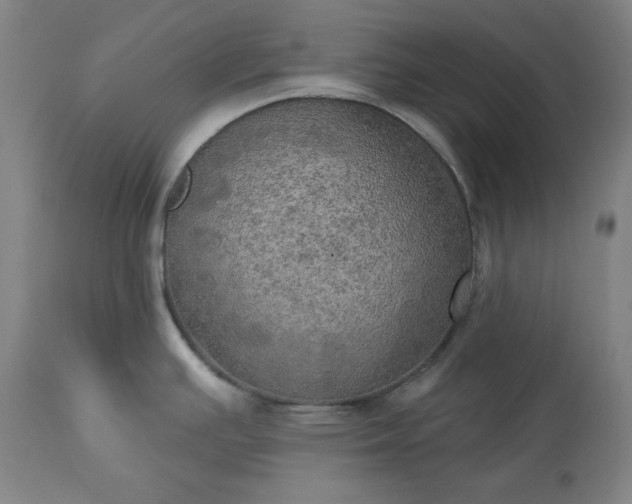 X0000113341391200909291020