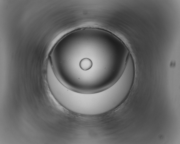 X0000113341392200909291020