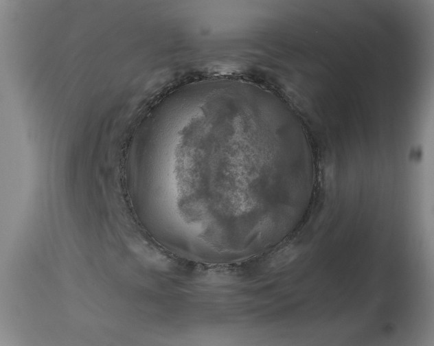 X0000113341393200909291019