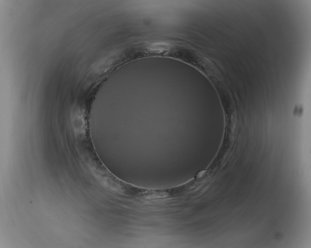 X0000113341394200909291019