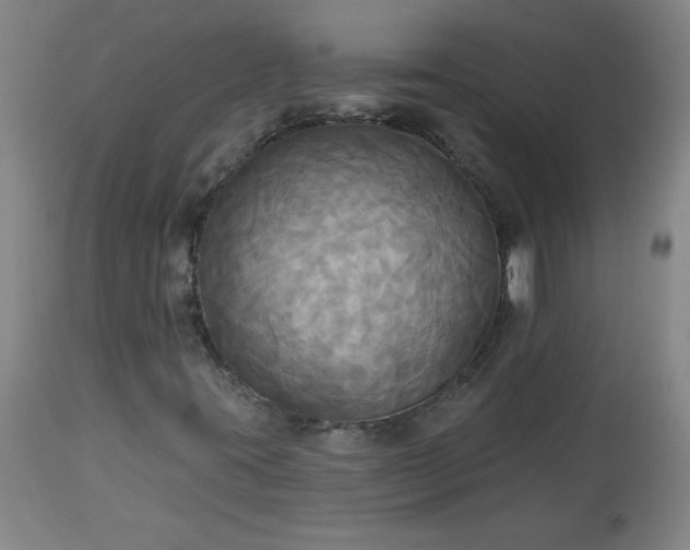 X0000113341395200909291019