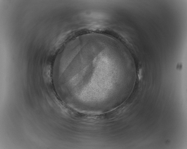 X0000113341396200909291019