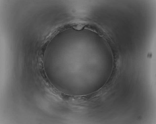 X0000113341397200909291019