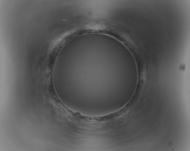 X0000113341398200909291019