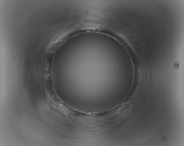 X0000113341399200909291019