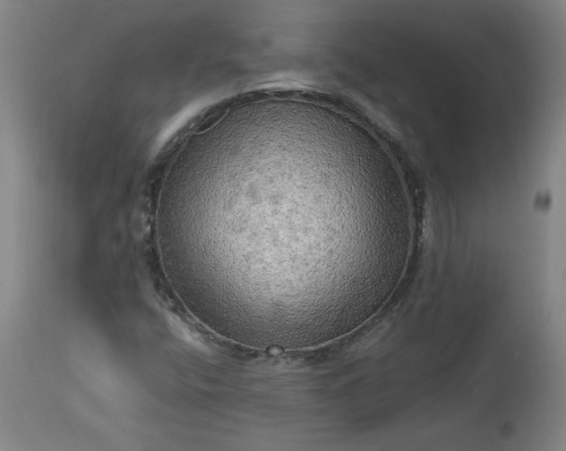 X0000113341400200909291019