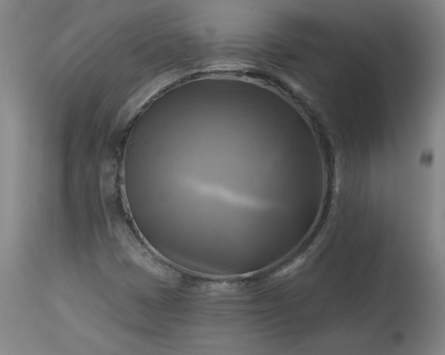 X0000113341401200909291019