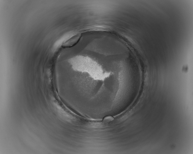 X0000113341402200909291019