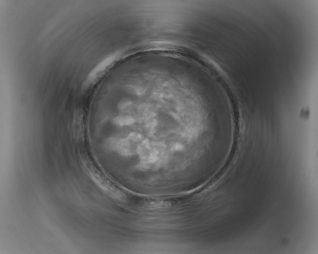 X0000113341403200909291019