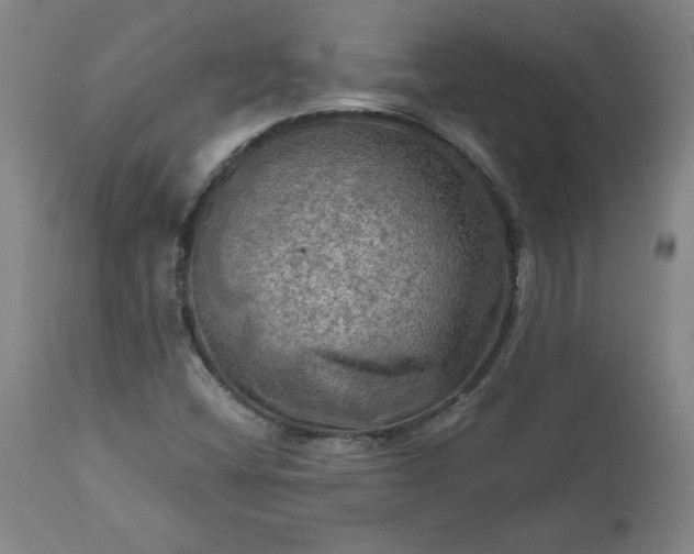 X0000113341404200909291019