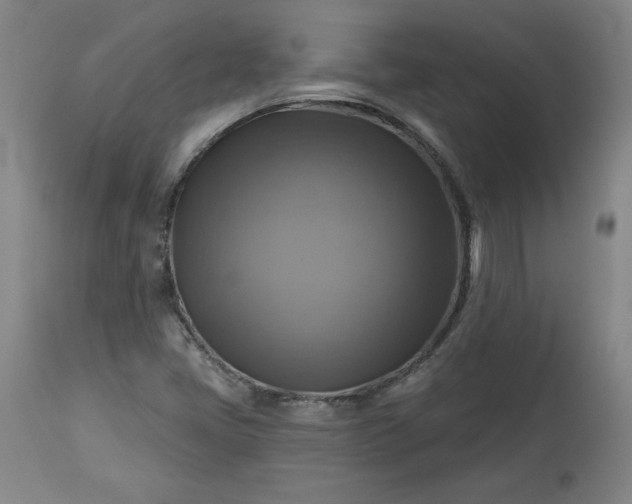 X0000113341405200909291019