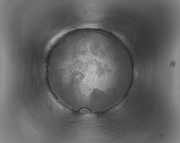 X0000113341406200909291019