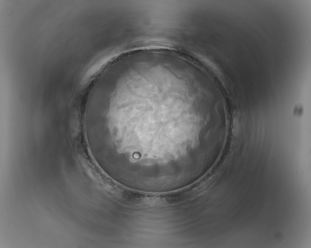 X0000113341407200909291019