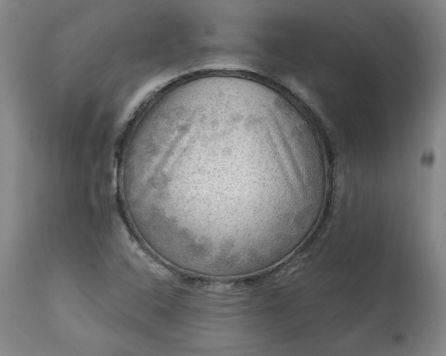 X0000113341408200909291019