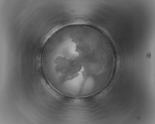 X0000113341409200909291019