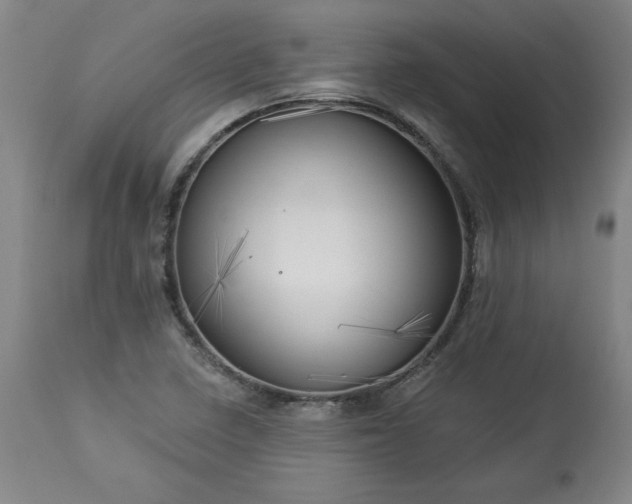 X0000113341410200909291019