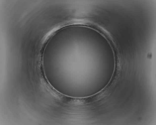 X0000113341411200909291019