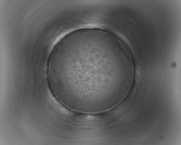 X0000113341412200909291019