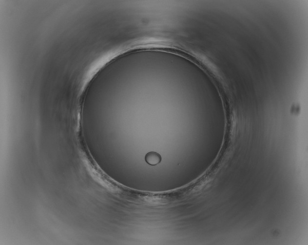 X0000113341413200909291019