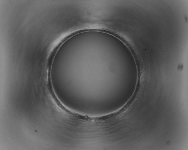 X0000113341414200909291019