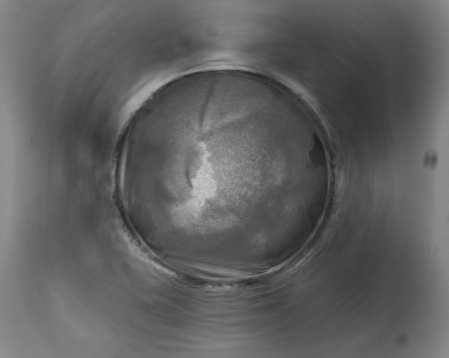 X0000113341415200909291019