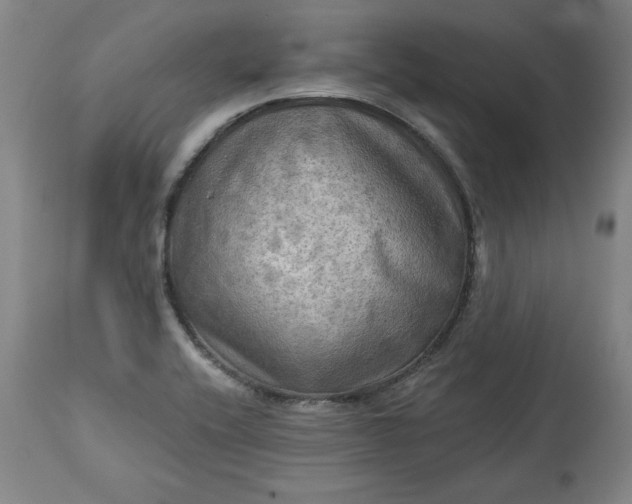 X0000113341416200909291019