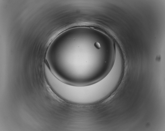 X0000113341417200909291019