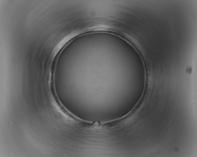 X0000113341418200909291019