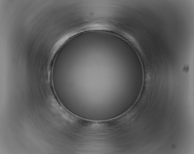 X0000113341419200909291019