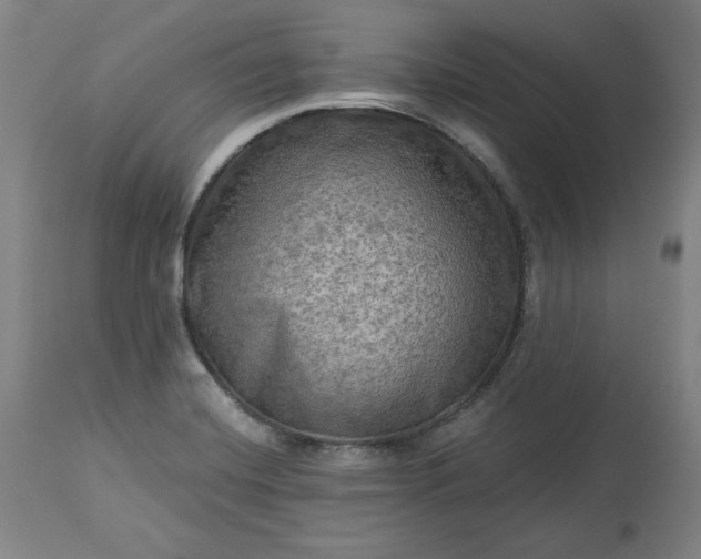 X0000113341420200909291019