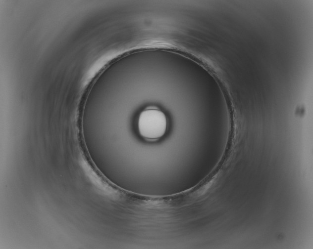 X0000113341422200909291019