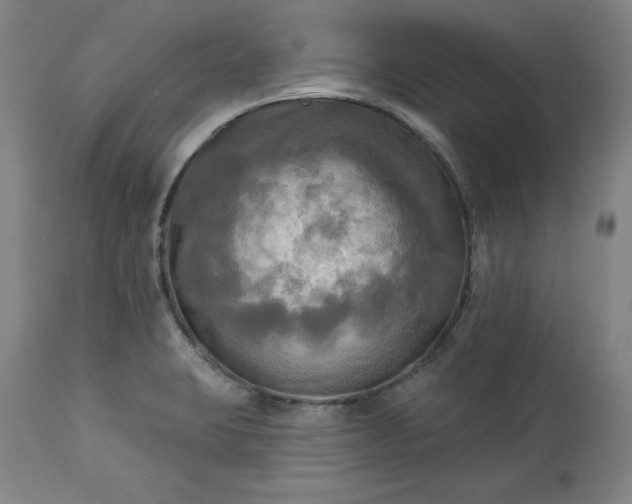 X0000113341423200909291019