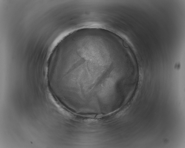 X0000113341424200909291019