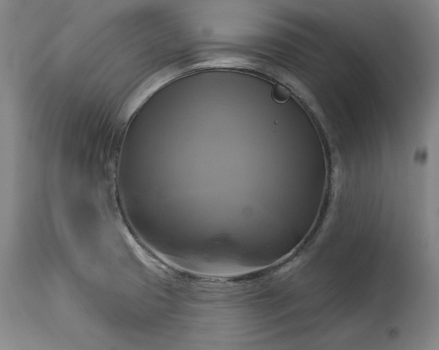 X0000113341425200909291019