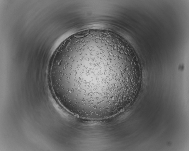 X0000113341426200909291019