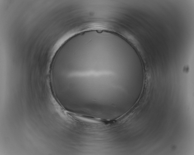 X0000113341427200909291019