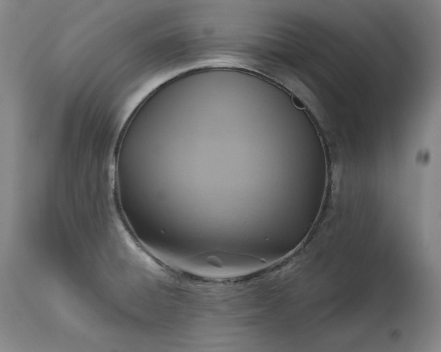 X0000113341428200909291019