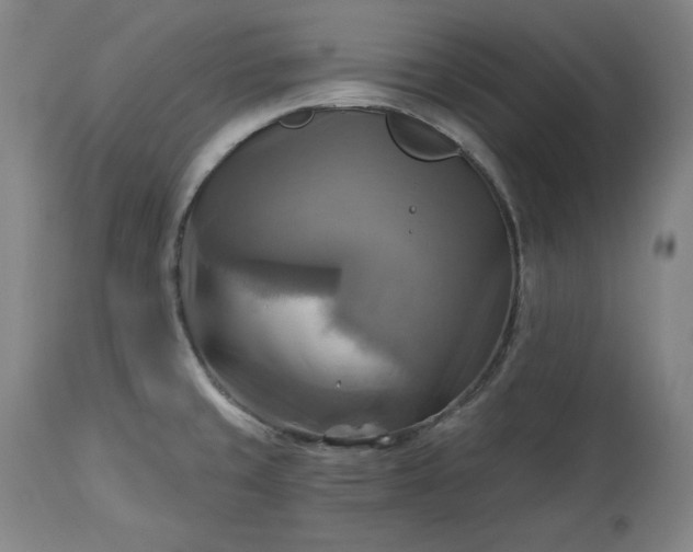 X0000113341429200909291019