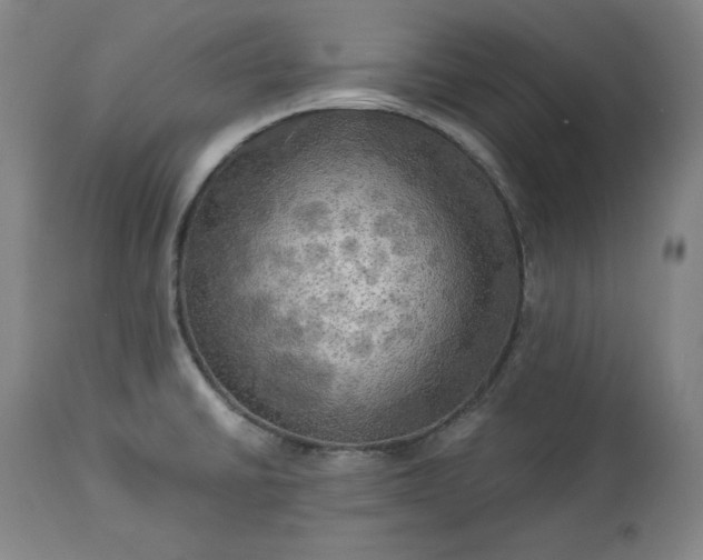 X0000113341430200909291019