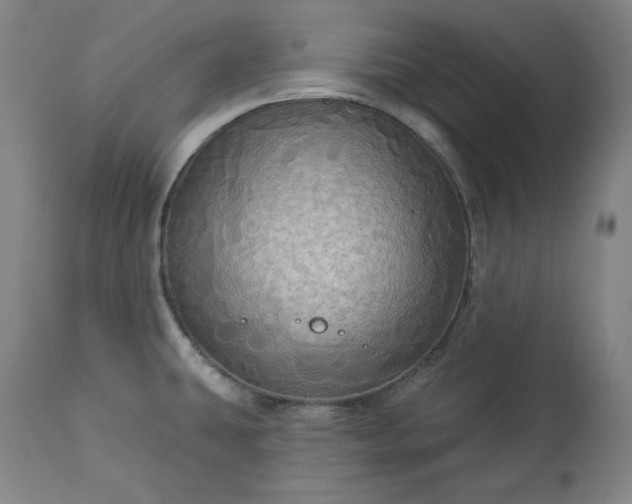 X0000113341431200909291019