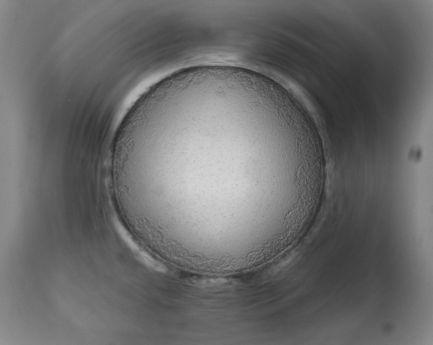 X0000113341432200909291019