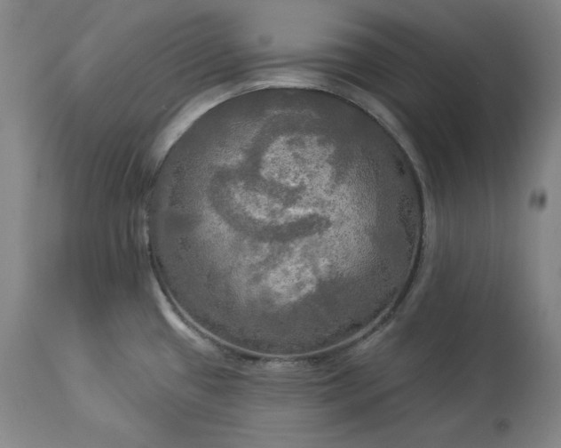 X0000113341433200909291019