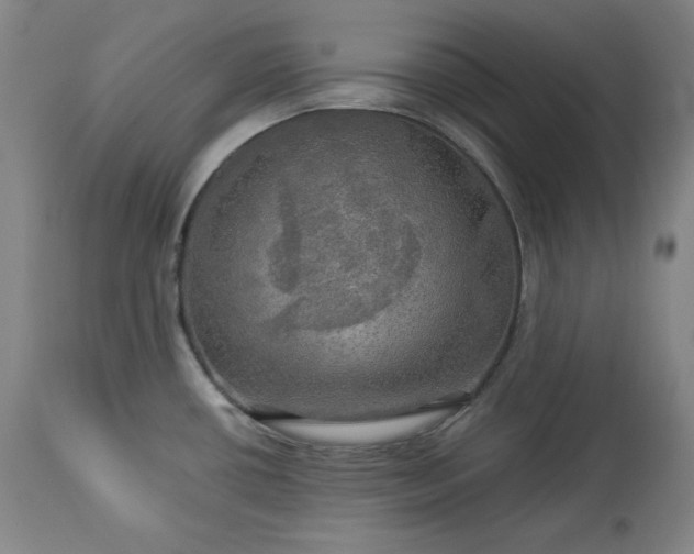 X0000113341434200909291019