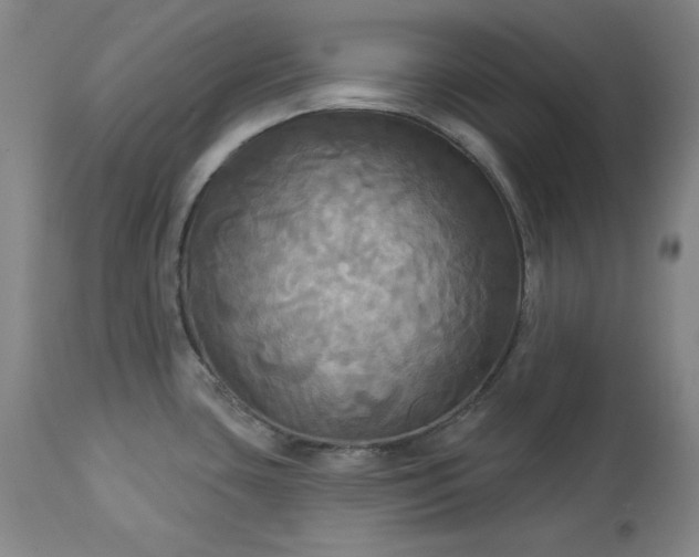 X0000113341435200909291019