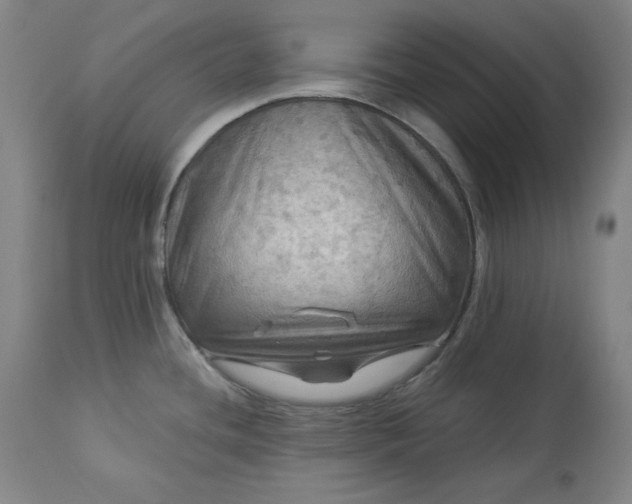 X0000113341436200909291019