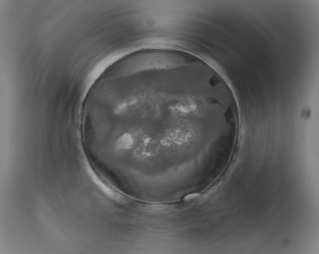 X0000113341437200909291019