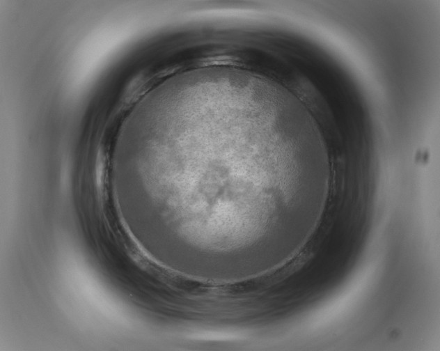 X0000113341438200909291019