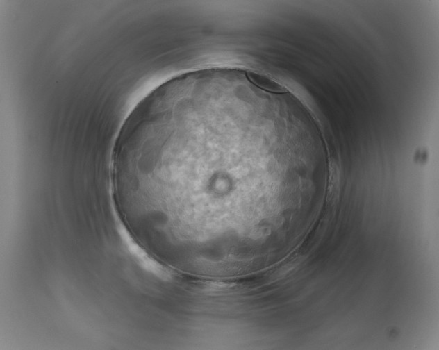 X0000113341439200909291019